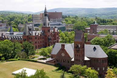 Cornell One Year MBA Program