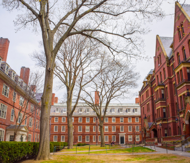 Harvard Business School - Harvard Yard